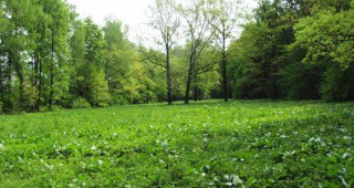 Обявяват 56 растителни микрорезервата