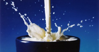 ДФЗ даде 3.6 млн. лв. субсидии за кравето мляко
