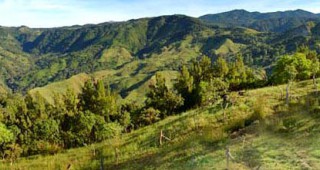 Служители от РДГ-Бургас обсъждат новия Закон за горите с представители на МЗХ