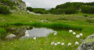 22 май – Международен ден на биоразнообразието в България