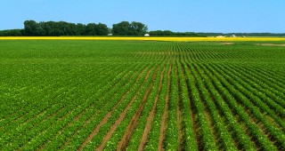 Селскостопанската политика да остане на ниво ЕС, призова Комитетът по регионите