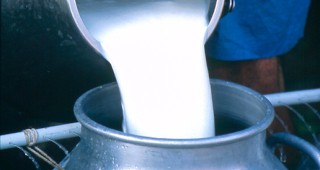 Три дружества за млечни продукти са санкционирани за нелоялна конкуренция