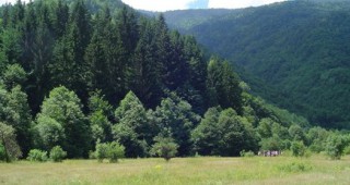 Природозащитници запознаха ЕК с проблемите на Натура 2000 в България