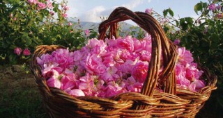 Музеят на розата в Казанлък притежава уникален по рода си казан за производство на розово масло