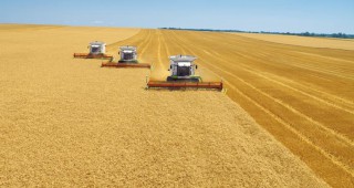 Цената на зърното обрича на загуба земеделските производители в България