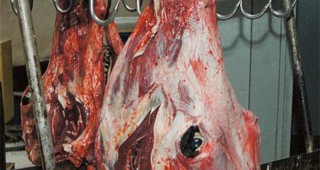Над 600 килограма месо и месни продукти са предадени за унищожение във варненския екарисаж