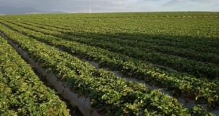 Браншовите организации подкрепят поправката в Закона за собствеността на земеделските земи