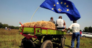 Брюксел не отказва, по скоро България не иска да помогне на своите фермери