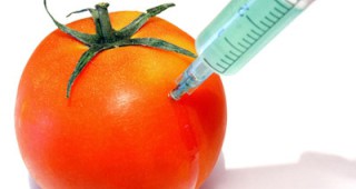 Съдържанието на ГМО ще се посочва върху опаковките на храните