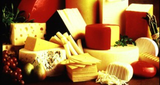Консумацията на сирене - задължителна и полезна