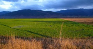 Над 800 хектара земеделска земя са засегнати от проливните дъждове в Молдова