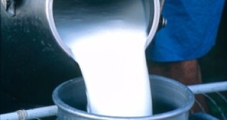 Започва търговията с млечни квоти