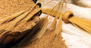 Русия временно спира износа на зърнени култури
