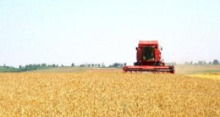 Жътвата на площите с пшеница достигна до 93,51%