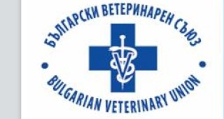 Варненската ветеринарна колегия към Български ветеринарен съюз се разграничава от позицията, изказана от ръководството на БВС