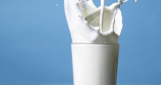 Витамин D в млякото