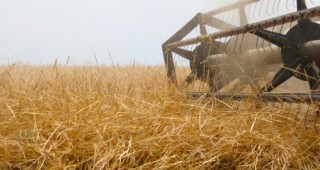 Украйна ще ограничи износа на зърно
