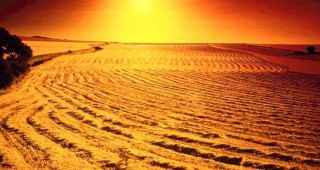 OOН даде старт на десетилетието за борба срещу настъпващите пустини