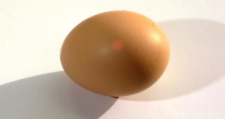 Изтеглиха половин милиард яйца от американската търговска мрежа