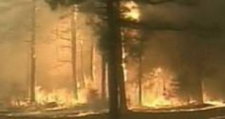 Регистрирани са около 75 броя горски пожари, при което са засегнати малко повече от 2400 декара