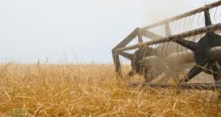 Приключи жътвата на пшеница в Бургаско