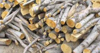 В Русенско обявиха около 40 лв. цена на дървата за огрев