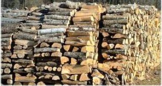 Търсенето на дърва за огрев в Пазарджишка област е голямо