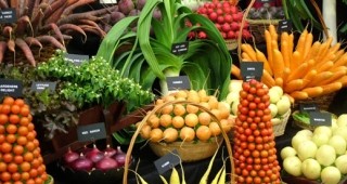 Константин Ламбрев: В последните 18 години силно намалява производството на плодове и зеленчуци
