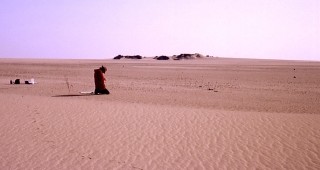 Сахара някога е била зелена, твърдят учените