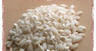 Започва подготовката за прибиране на оризовата реколта