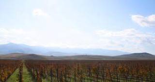 Българското вино Енира завладя азиатските пазари
