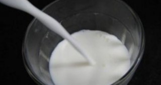 Недостиг на сурово мляко тази зима