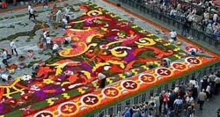 Центърът на Брюксел се превърна в килим от живи цветя