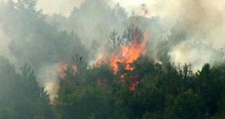 13 горски пожара, регистрирани в Благоевградско, от началото на годината