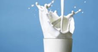 Поскъпване на млечните продукти през октомври