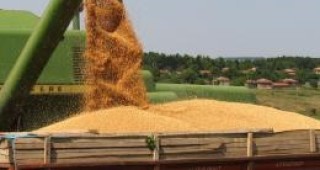 Стелиян Стоянов: Над 140 хил. тона зърно от новата реколта вече са изнесени в Средиземноморието