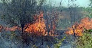 112 броя горски пожара от началото на годината до момента