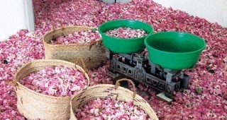 Производители поръчват карта на розовите градини