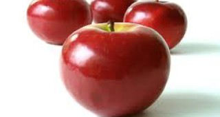 В института по земеделие – Кюстендил очакват реколта от над 300 тона ябълки