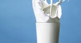 Покачи се изкупната цена на кравето мляко в Смолянско