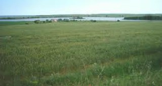 Браздово и тирово поливане се прилага в Шабленския край