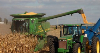 Средния добив от царевица в Добричка област към момента е 629 кг от декар