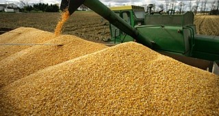 Зърнопроизводители готвят бунтове след седмица