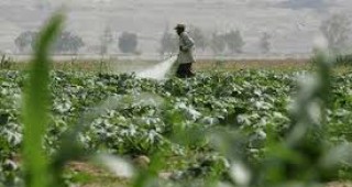 До 2015 г. Китай ще намали с 30% компаниите си за пестициди