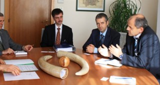 Зам.-министър Костов се срещна с директора по горските ресурси във ФАО