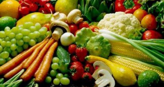 Търсят нов доставчик на плодове и зеленчуци за социалните домове в Пловдив