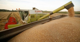 Ръст в цената на зърнените култури на борсата в Чикаго