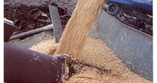 Министерството на земеделието отново търси финансиране заради по-високите цени на фуражите и зърното
