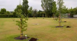В Севлиево ученици засадиха 35 дръвчета