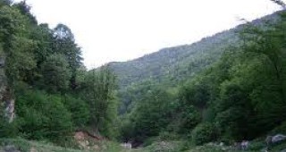 Съвместна акция на екоинспекцията в Пазарджик предотврати незаконна сеч в резерват Купена